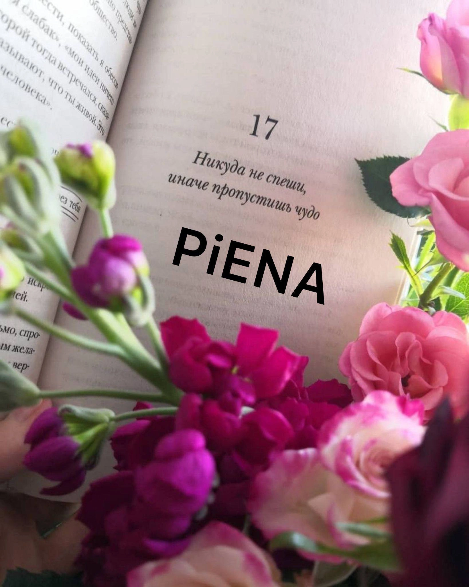 Без категории